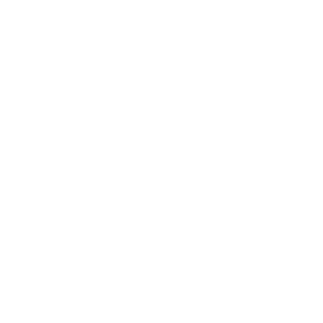 中國(guó)中車(chē)